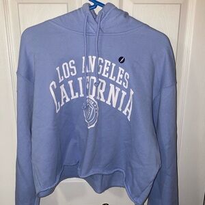 Hollister Cropped Hoodie